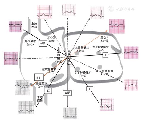 灶動的心結局|[閒聊] (雷) 灶動的心 最終週124 山部心胸咚咚！